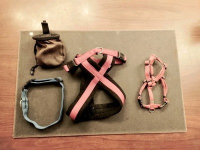 Hundezubehör Set 4-teilig, Trixie & Hunter, Geschirre, Halsband, Leckerlibeutel