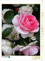 Calvendo Puzzle Beautiful Roses In The Garden | 1000 Pieces, Finished Size 25.2