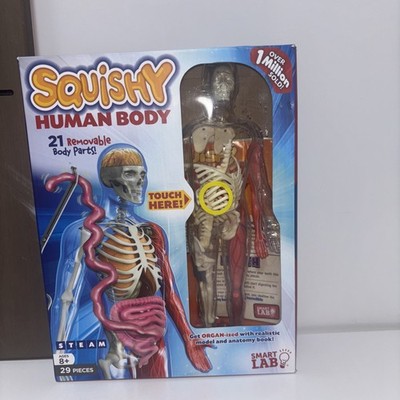 Squishy Human Body Model Set STEAM STEM SmartLab Toys Homeschool Science