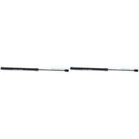 2X Triscan Gasfeder Motorhaube Vorne Links+Rechts Passend FüR Audi Q5