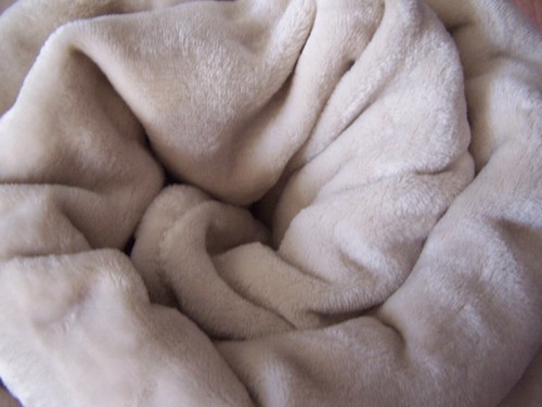 Calvin Klein Light Beige Ultra Soft Plush Full/Queen Blanket NWOT Super Soft - Picture 8 of 10