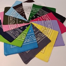 14-Pieces Multicolored Paisley Cotton Bandana Set Double-Sided Scarf Head Wrap