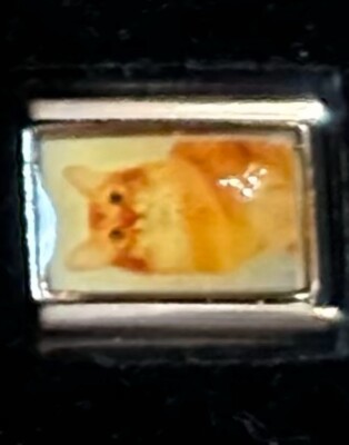 Cat Wholesale Italian Charm Photo Enamel Link 9MM K2016 - 2 Style AC