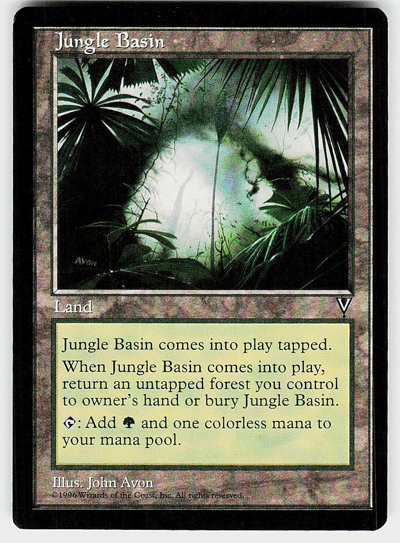Jungle Basin Visions 164 LP