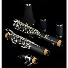 Clarinet 17 Key Falling Tune B /ABS Pipe Body Material Clarinet