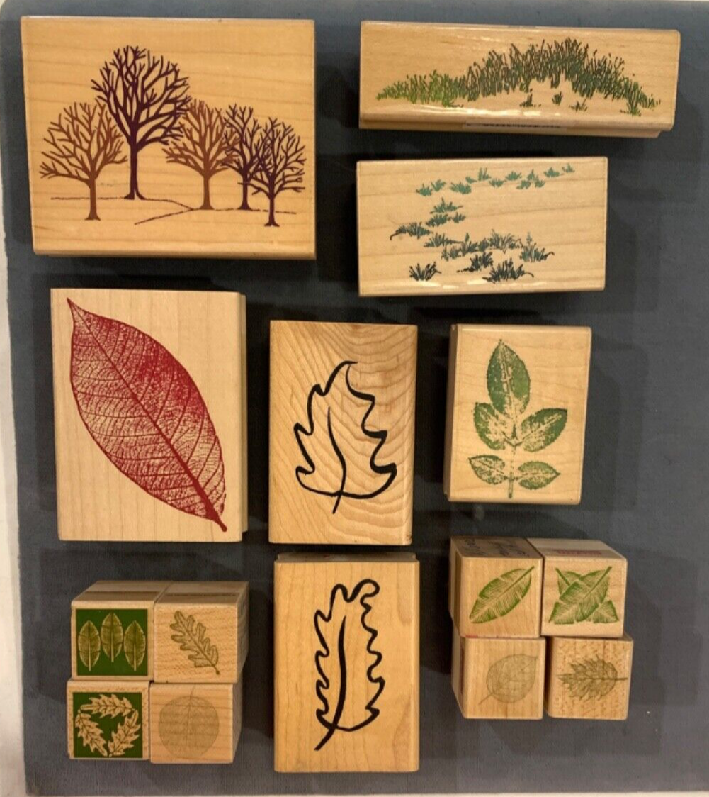16 Rubber Stamps Wood Mounted Botanicals Leaves Winter Trees Grass Plants