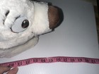 Picture 10 of 10