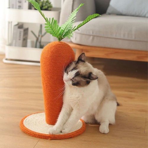 Carrot Cat Scratching Post Vertical Climbing Frame Interactive Toy for Cats AU - Picture 4 of 12