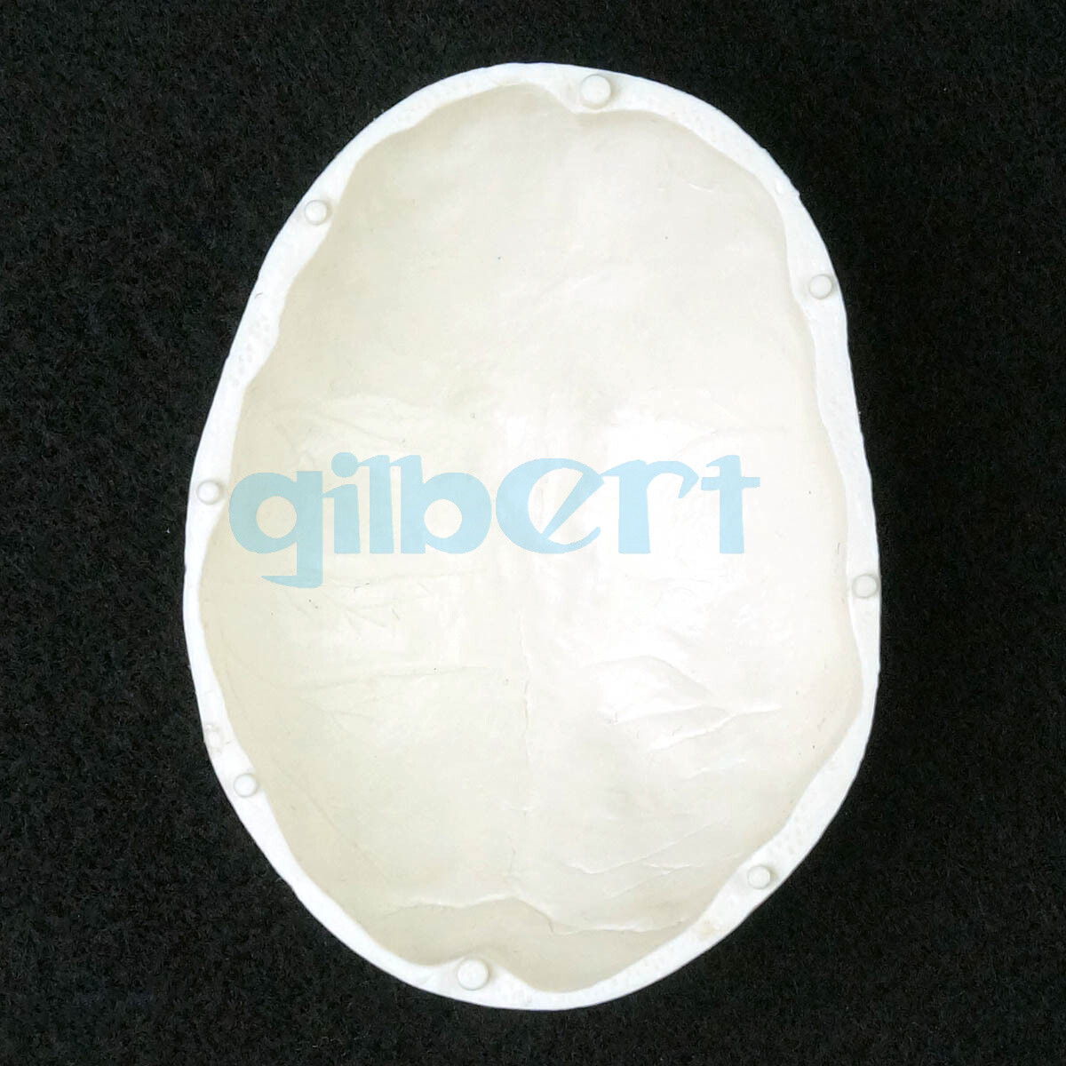 Modello Anatomico In Resina Medica Del Cranio Umano – Modello Realistico Della Testa Del Cranio Umano, Strumento Di Insegnamento Di Alta Precisione Di Anatomia Per Halloween - Foto 7