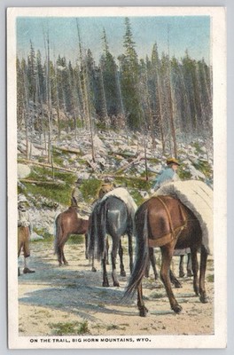 Big Horn Mountains Wyoming Postcard - On The Trail Horseback Riders WYO