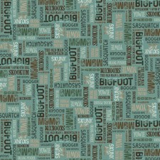 P B Textiles - Bigfoot Country - Nicknames - Teal, Fabric BTY