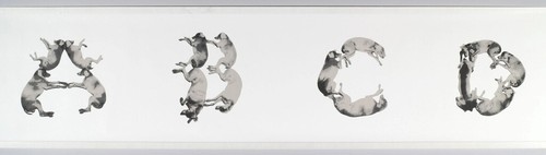 William Wegman Alphabet Collectable Art Original Hand Printed Wallpaper Border - Picture 2 of 15