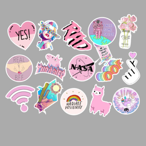 53PCS Pink Lady VSCO Vinyl Waterproof Stickers Skateboard Luggage Motorcycle - Picture 5 of 8