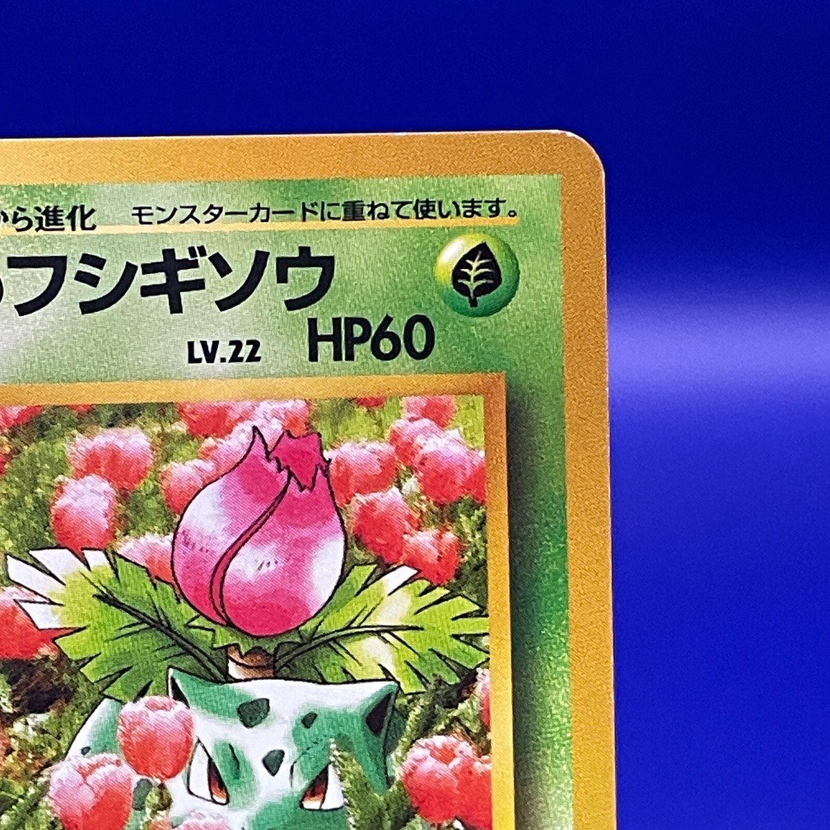 Erika's Ivysaur No.002 Pokemon Card Game TCG Trading Old Back