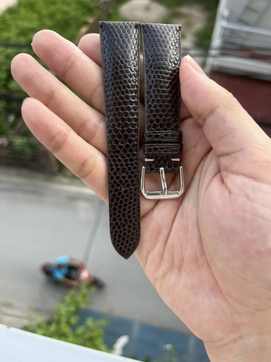 Lizard watch sale