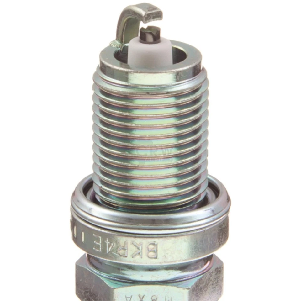 4x BERU by DRiV Zündspule+NGK Zündkerze für Nissan Almera Tino V10 1.8 N16 1.5 - Bild 2 von 4