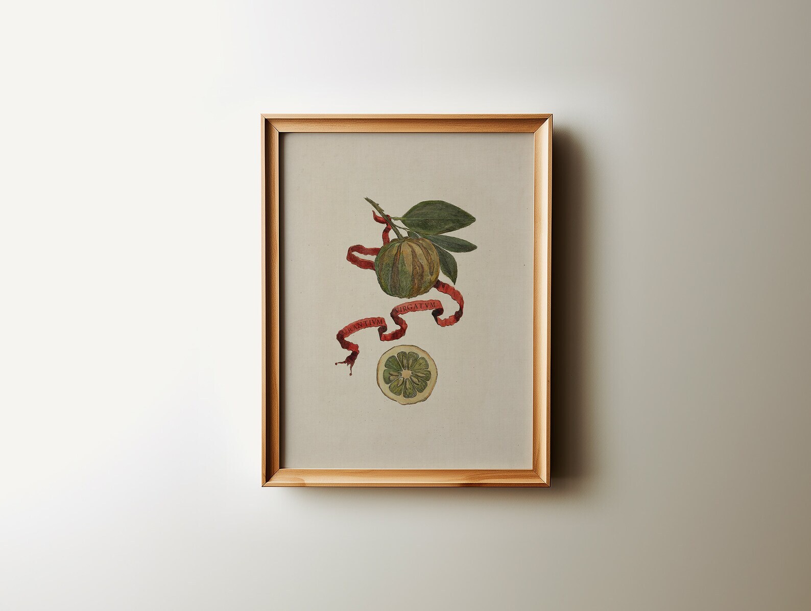 Vintage Reproduction Citrus Still Life Art Botanical Wall Art Cottage Core