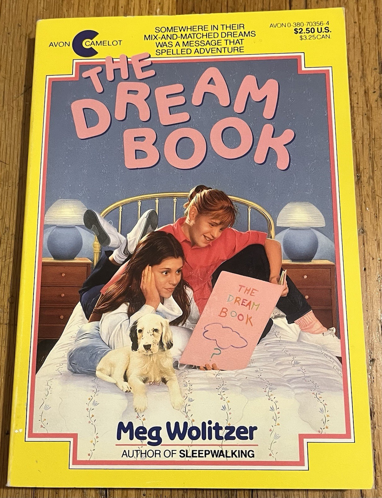 THE DREAM BOOK : by Meg Wolitzer : vintage