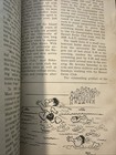 1948 OLYMPICS SPORTSFOLIO ILLUSTRATED MAGAZINE MULLIN'S CARTOONS ALL STAR GAME — photo 8