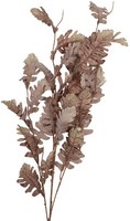 Clayre & Eef 5PL0260BE Dekoration Zweig Beige-Braun 10X15X108 Cm