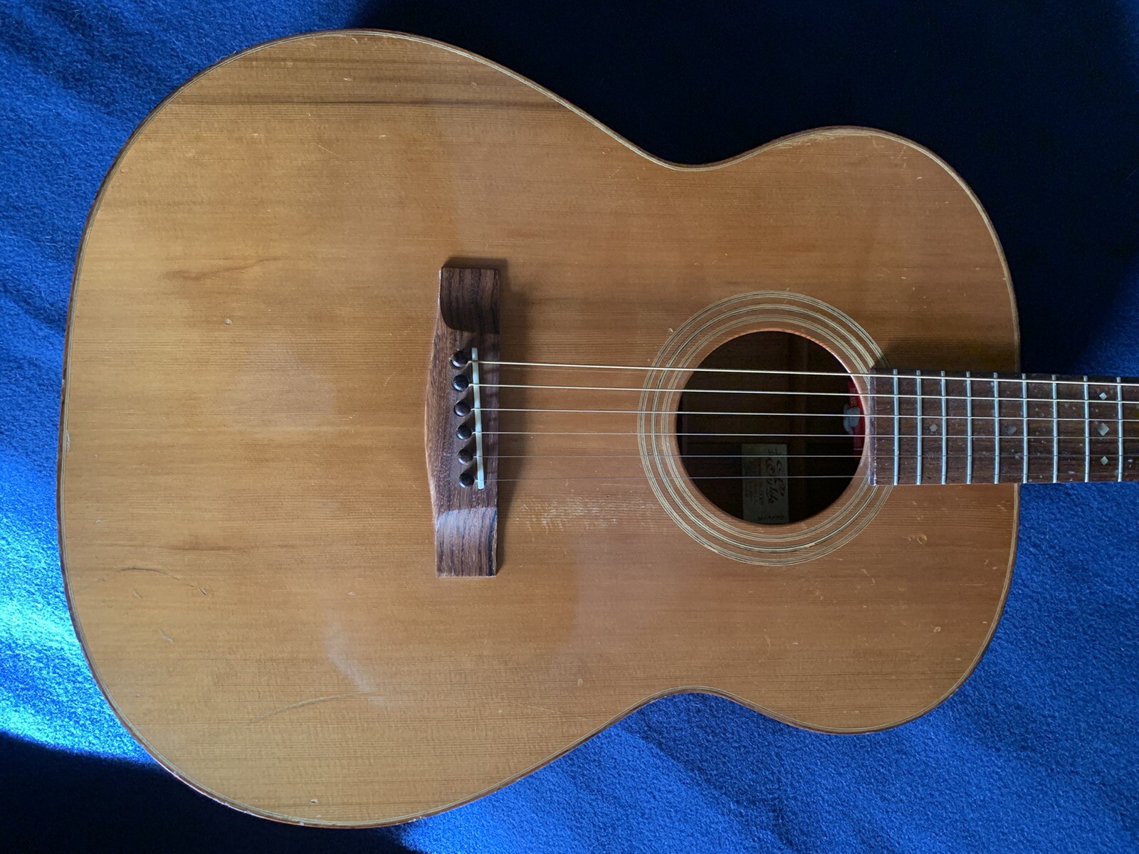 Fylde Olivia Acoustic Guitar eBay