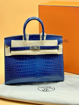 美品☆HERMES クリッカーズ オオハシ レザーオブジェ☆B93 A LIMITED EDITION VACHE NATURELLE GRAINÉE LEATHER SELLIER BIRKIN