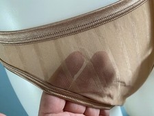 Vintage Nylon Panties Sheer Silky Bikini NOS Hi Cut Shimmer Warner's Sz 6