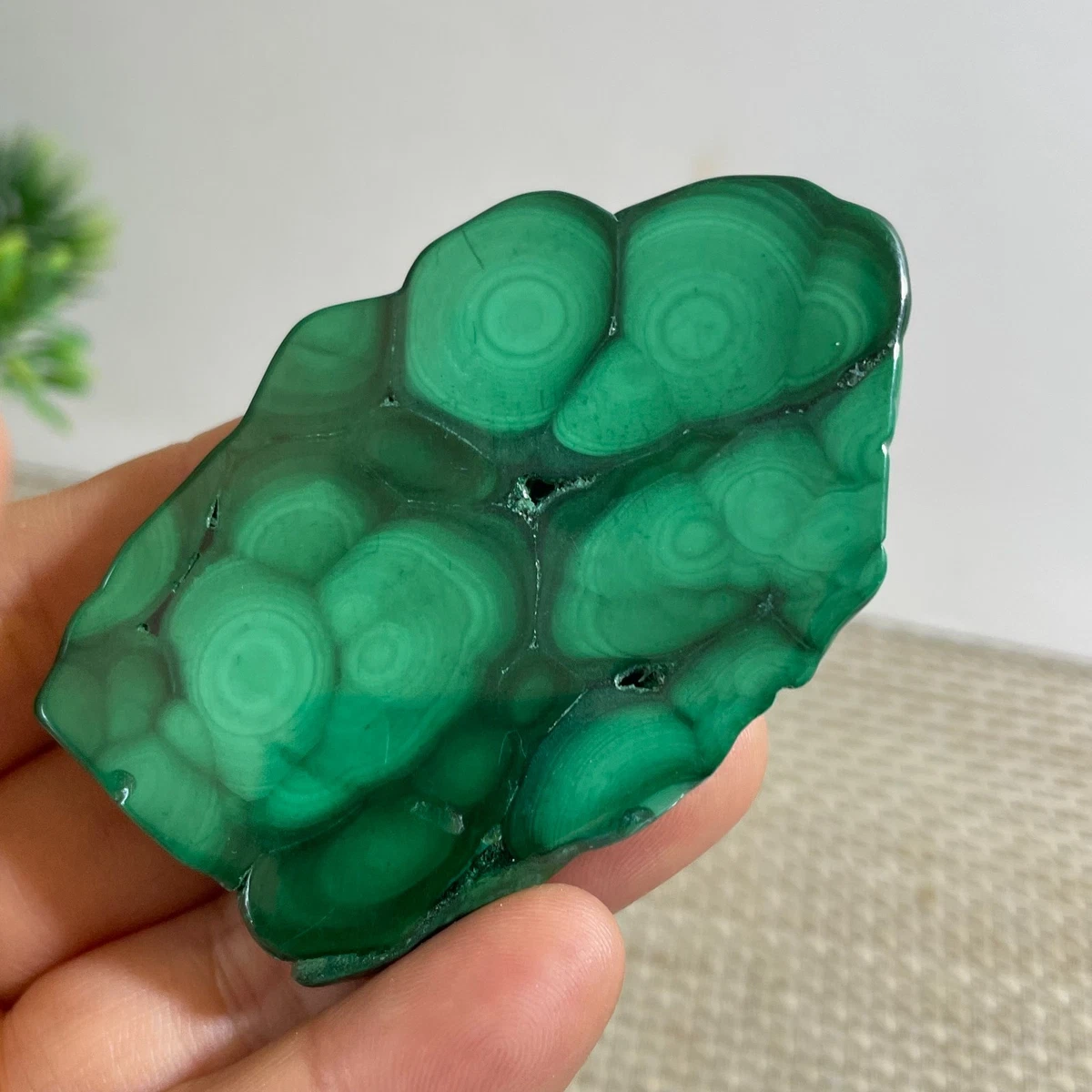 Suiseki for sale | eBay