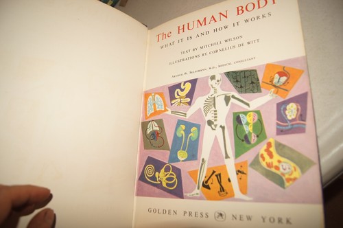 The Human Body Illustrated Colorful Pullout Deluxe Golden Book 1959 1961 Vintage - Picture 9 of 17