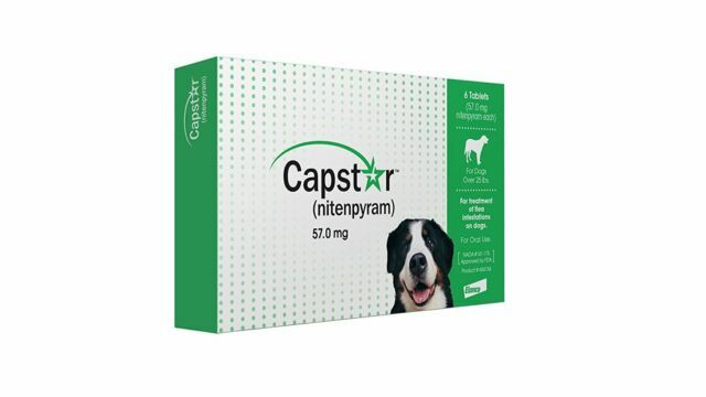 capstar online