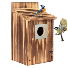 Bird Houses for Outside with Metal Predator Guard for Bluebird Wren Swallow F...