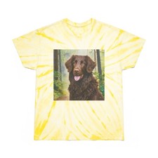 Curly-Coated Retriever Tie-Dye Tee, Cyclone