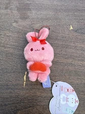 Fukuya Mini Mascot Rabbit Plush Pink Red Heart Shaped Ear 4.5” w/ Tag