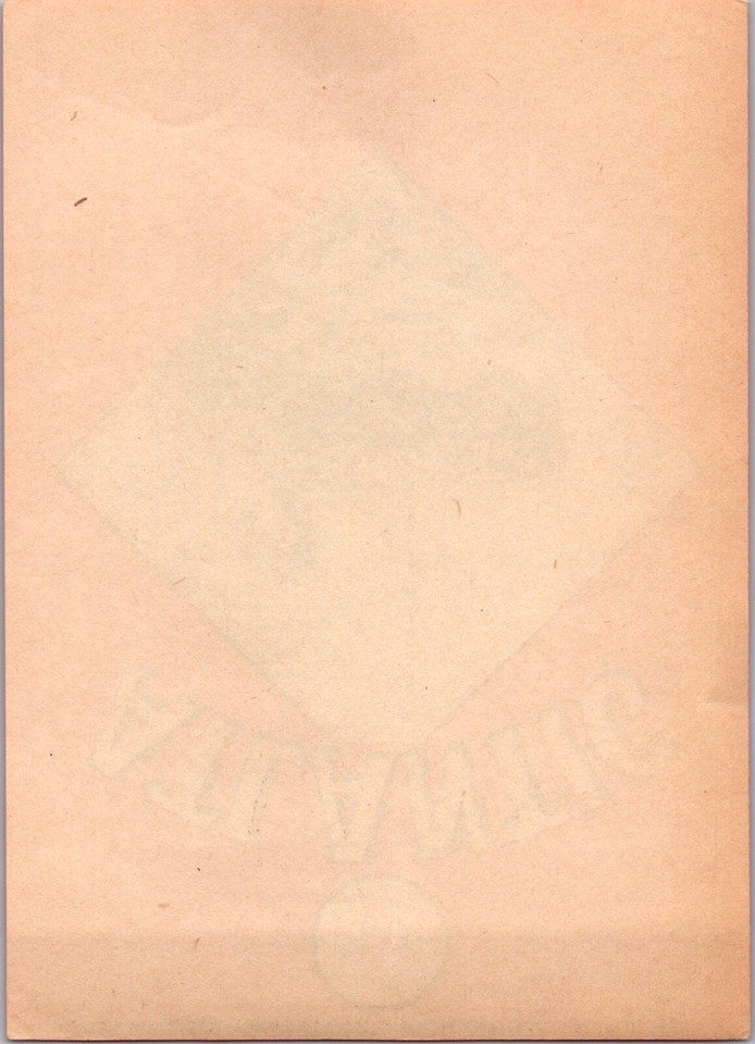 Broom Line Vintage 1930's Atlantic Southwestern Broom Steamship Cruise Line ...