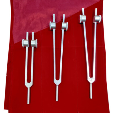 Radical Healing Schumann Tuning Forks for Brain to Enhance Cognitive abilities