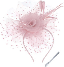 Fascinators Hats for Women Tea Party Kentucky Derby Hats with Headband Cli