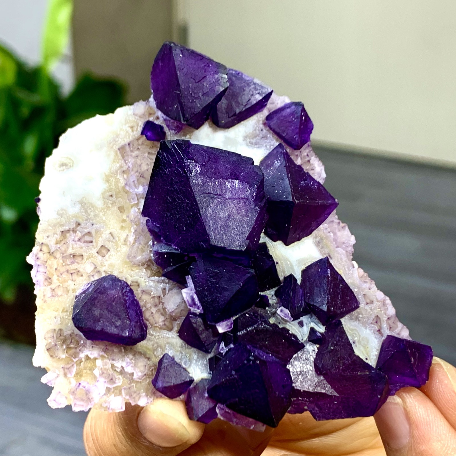 91G Natural Purple Octahedral Fluorite cluster Crystal Mineral Specimen