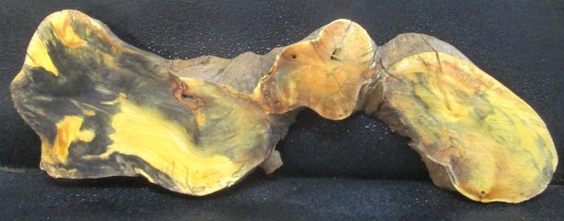 Buckeye Wood slab  #D650  23 1/2" x 7 5/8" x 1 1/8"
