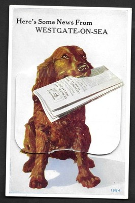  VINTAGE AUSZIEHBARE POSTKARTE HUND & ZEITUNG ''Here's Some News From''.#1984