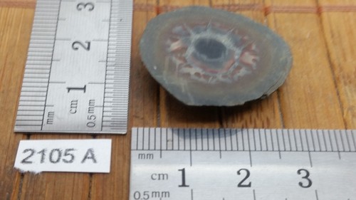 Moitié de nodule de SEPTARIA tranche naturel lithotherapie collection mineraux - 第 1/1 張圖片