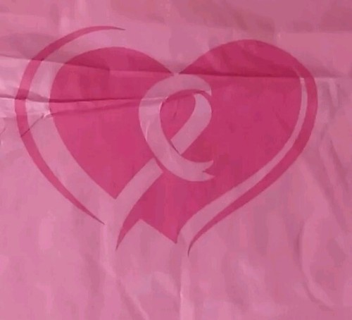Breast Cancer Awareness Backpack Pink Knapsack 13.5 x 16 - Picture 3 of 3