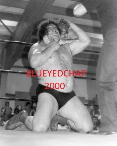 ANDRE THE GIANT VS THE SHEIK WRESTLER 8 X 10 WRESTLING PHOTO NWA - Image 1 of 1