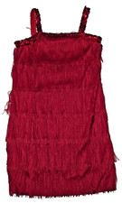 Flapper Dress Costume for Girls Jazz Dance Size 12-14