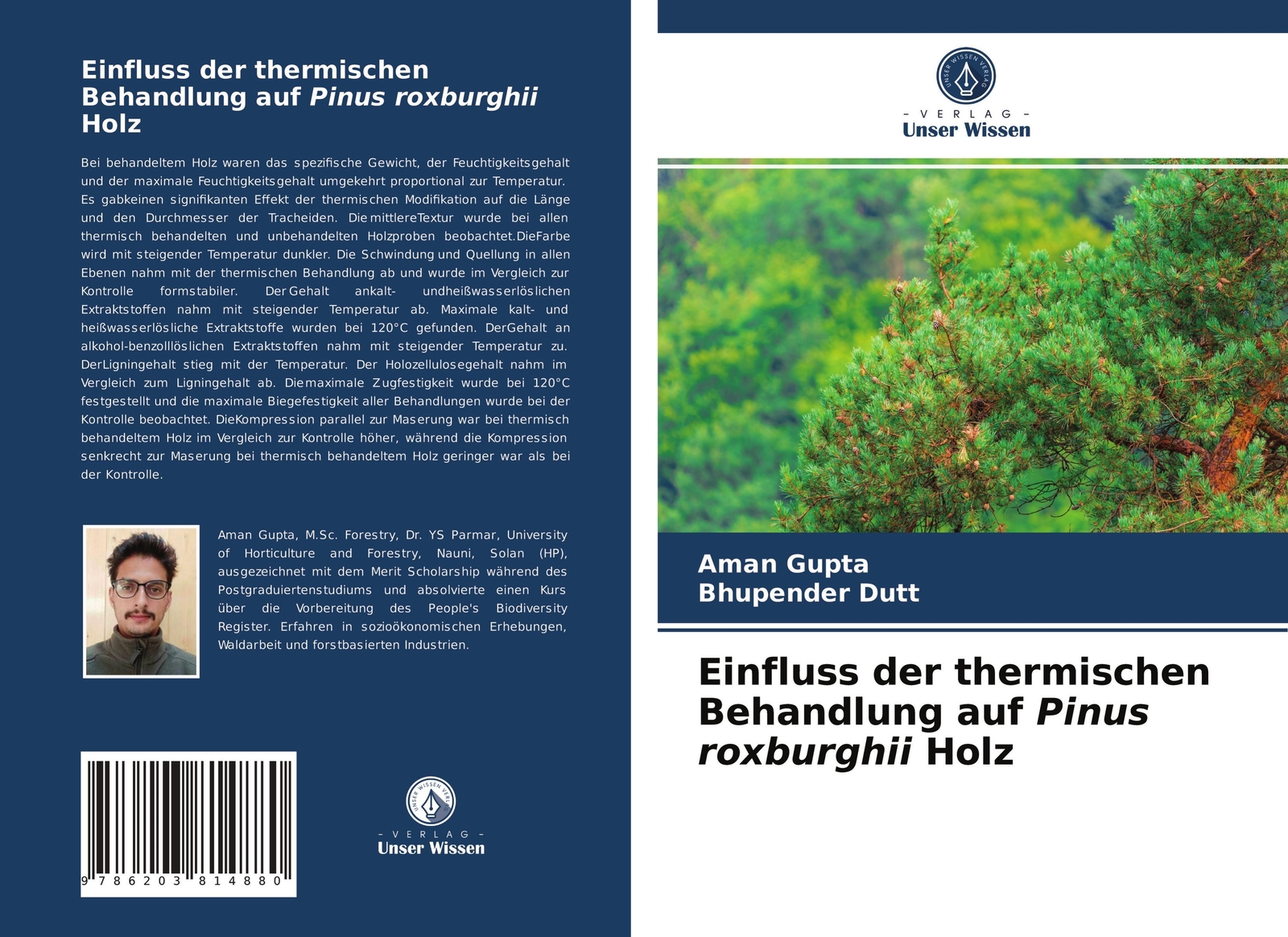 Einfluss Der Thermischen Behandlung Auf Pinus Roxburghii Holz Aman