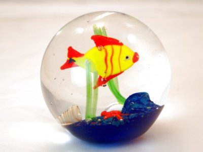 M Design Art Mouth Blown Italy Fish Handmade Art Glass Paperweight TP0009