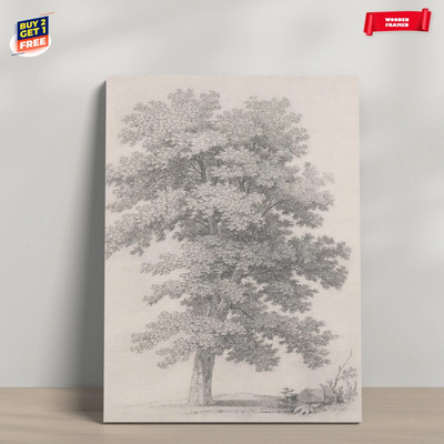 Vintage Tree Sketch Drawing Canvas Print Poster Home Decor