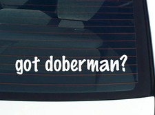 got doberman CAR DECAL BUMPER STICKER VINYL FUNNY JOKE WINDOW