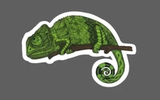 Chameleon Sticker Geometric Waterproof Animal Art Wildlife Pet Gift NEW