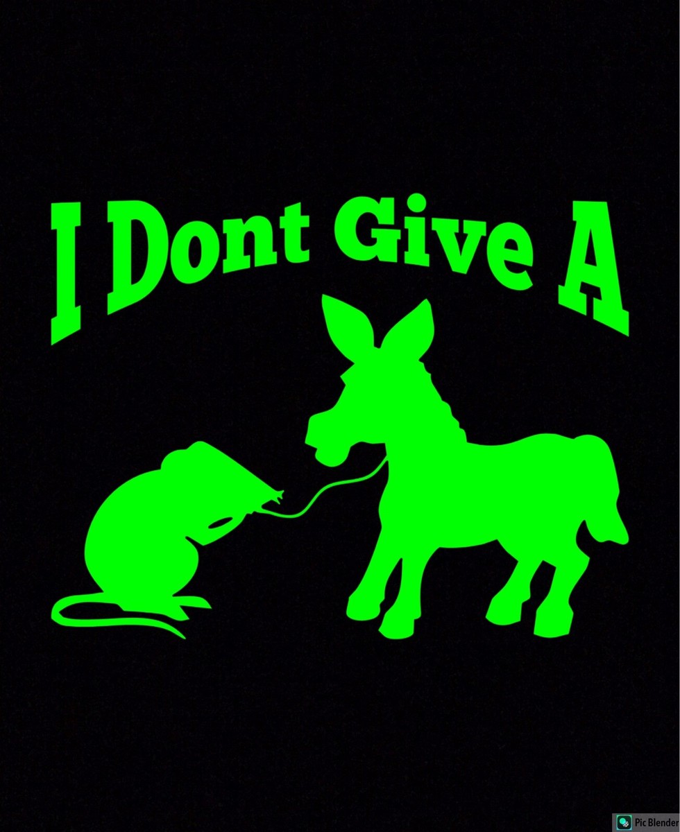Autocollant Vitre "I Don't Give A Rat's A$$" - Noir Ou Autre Couleur - Style Moderne Maple Creek