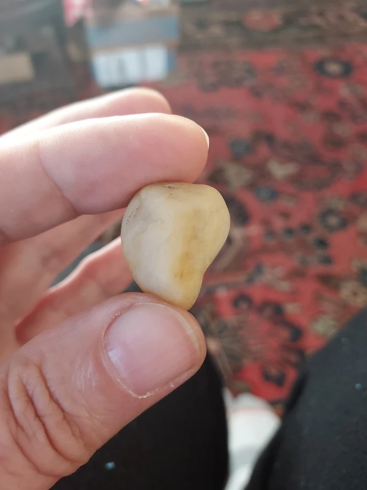 Ancient Natural Clam Pearl - Image 2 of 4